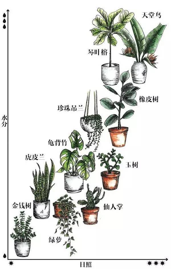 04 - 副本 (2).jpg