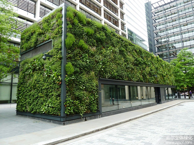 01植物墙 (3).jpg