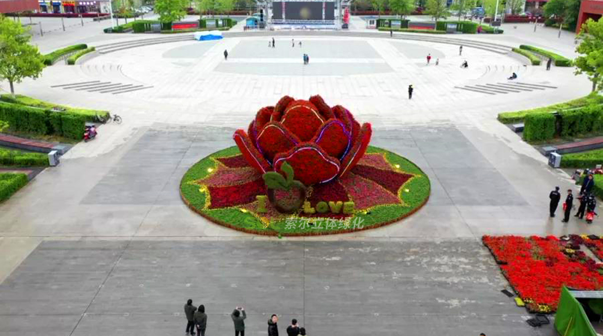 胶州市民广场上合博览会主题绿雕
