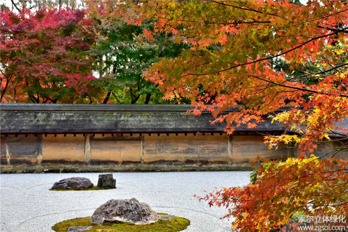 42日式庭院-龙安寺01 (2).jpg