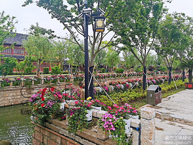 30江苏东台西溪古镇景区五一景观提升 (54)河岸护栏绿化.jpg