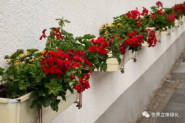 微信图片_20220111110130.jpg