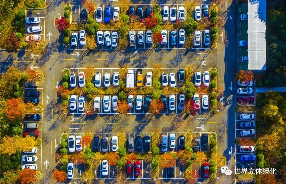 20220906134232846.jpg