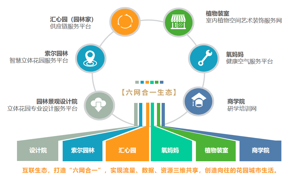 六网合一生态