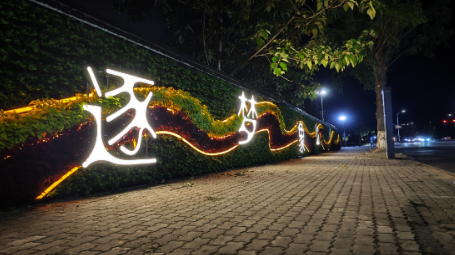 项目夜景展示