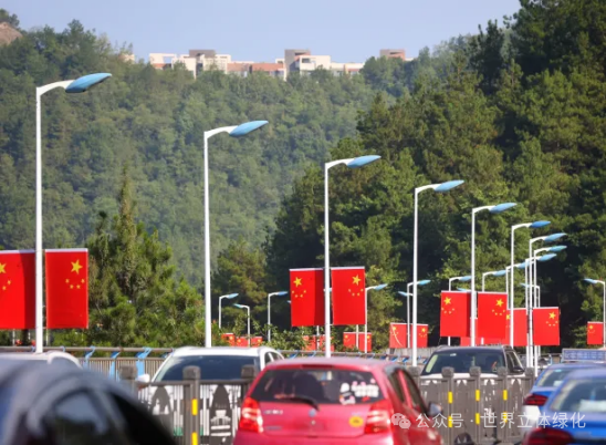 国庆11.png