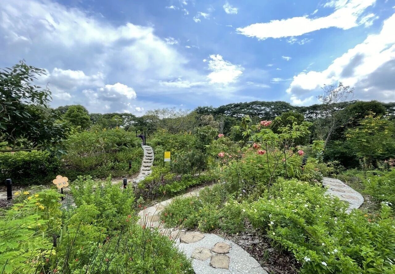 新加坡裕廊湖花园康疗花园.jpg